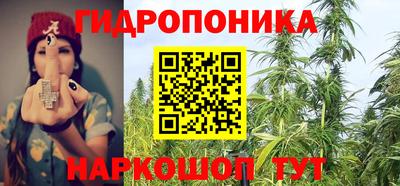 ешки Бийск